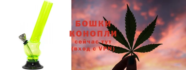 амф Белокуриха