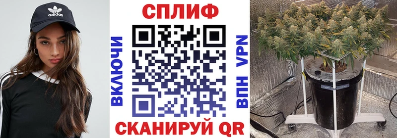 Бошки Шишки ГИДРОПОН  даркнет сайт  Болотное 